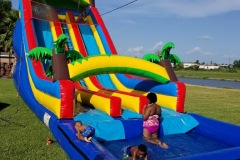 tropical-water-slide